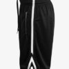 M13 Taped Mesh Shorts - Kurze Hose, 130er Mesh, Basketball Shorts, Sporthose, Trainingshose kurz, Schwarz mit weißen Streifen